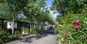 Camping Herault