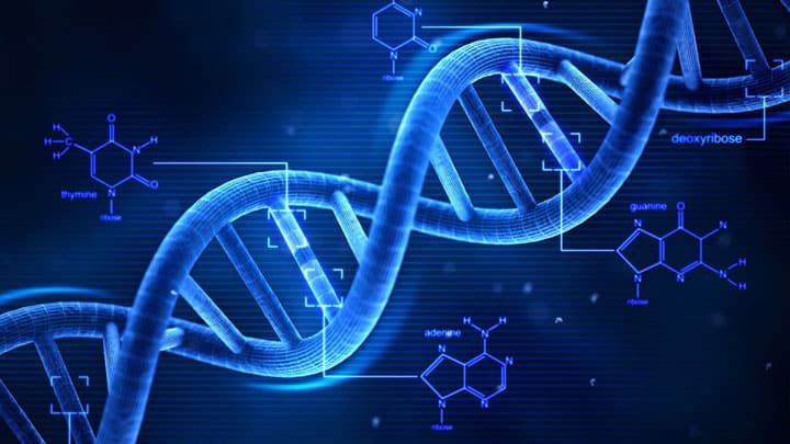 Tout savoir sur les tests ADN
