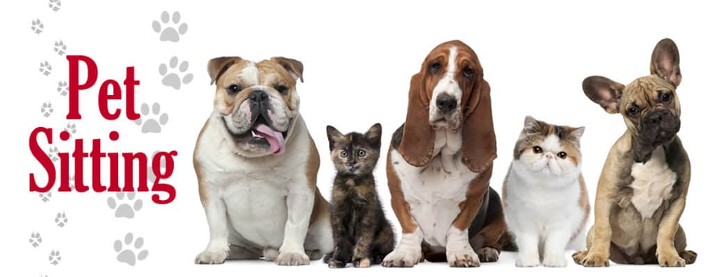 Comment devenir garde d&rsquo;animaux à domicile ?