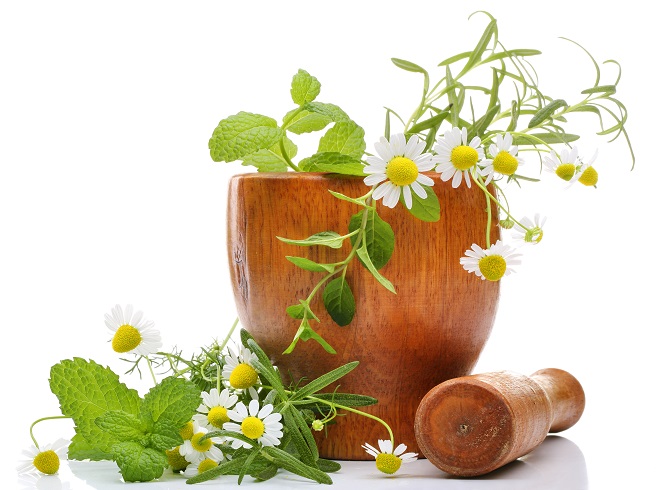 Huile essentielle antihistaminique : Et si votre santé passait par les plantes ?