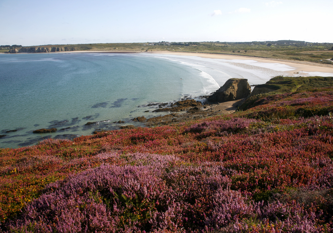 Investir dans les Landes : programme neuf ou ancien ?