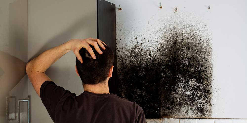 Pourquoi faire appel à un expert en diagnostic d’humidité ?