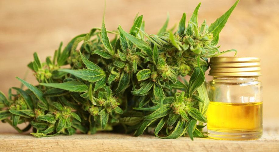 Cannabis : quelle est la réglementation en France ?