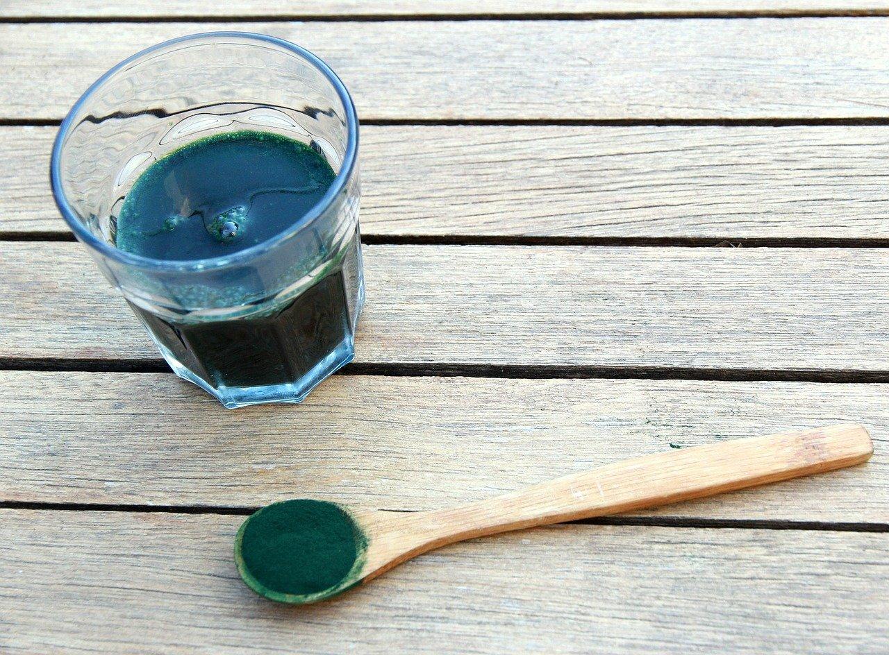 Quels sont les bienfaits de la spirulines bio ?