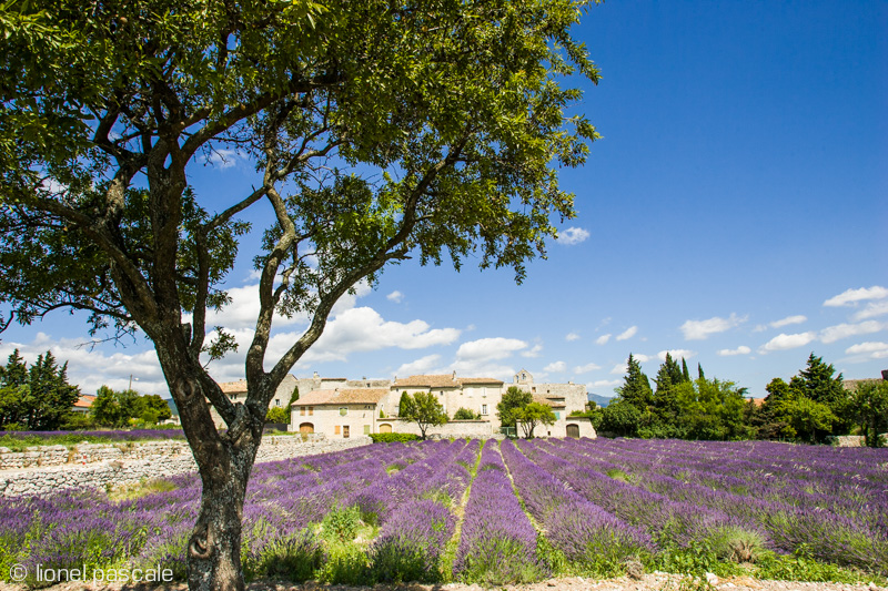 8 choses incontournables à faire en Drôme Provençale ?