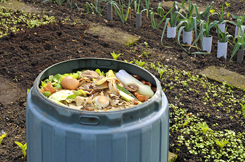 Comment bien démarrer un compost ?