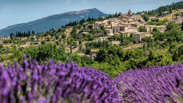 Et si vous visitiez la Provence verte cet été ?
