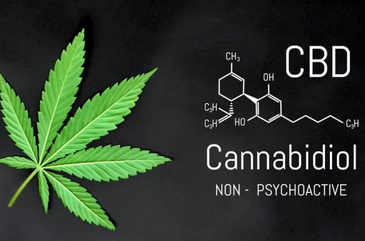Peut-on être insensible au CBD ?
