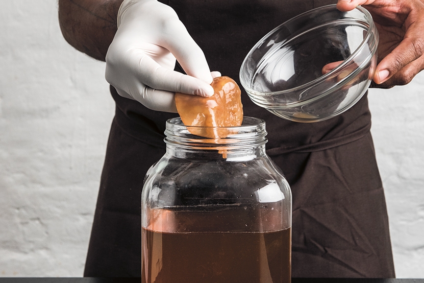 Avantages pour la santé du kombucha