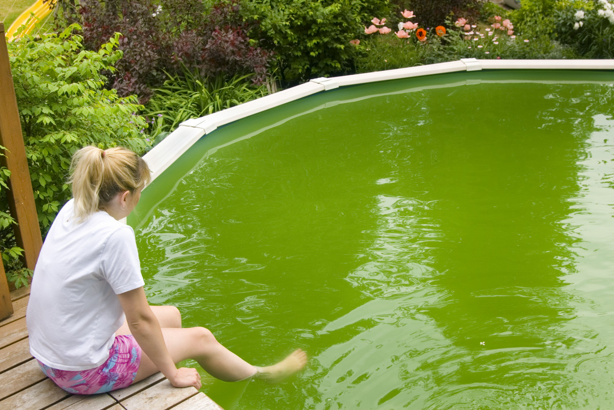 Quelle astuce de grand-mère pour que l’eau de la piscine arrête de devenir verte ?