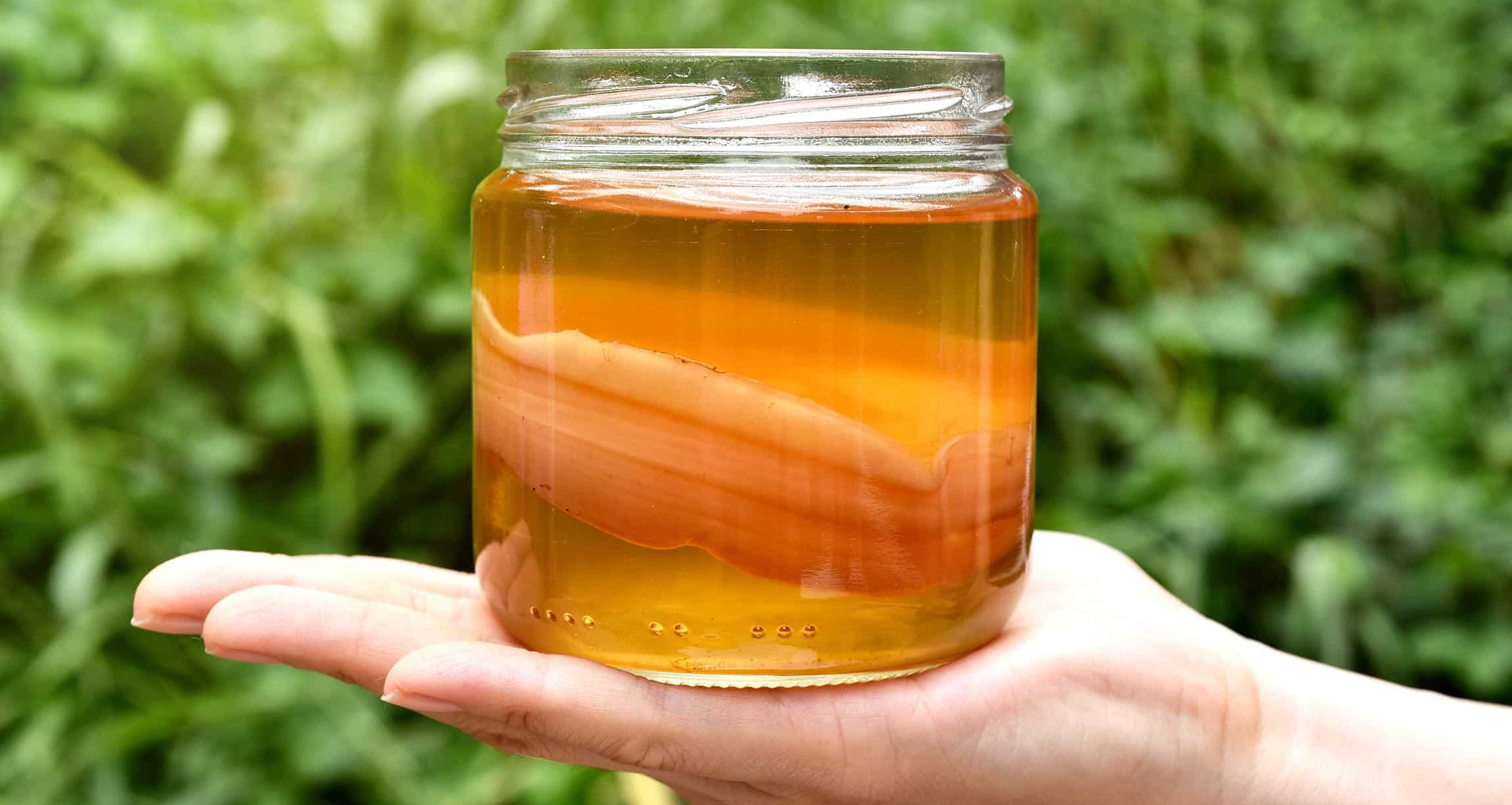 Les avantages du Kombucha pour la santé