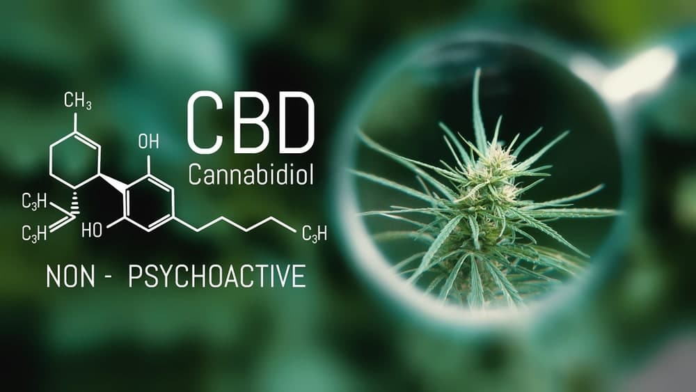Les effets positifs de la consommation de CBD