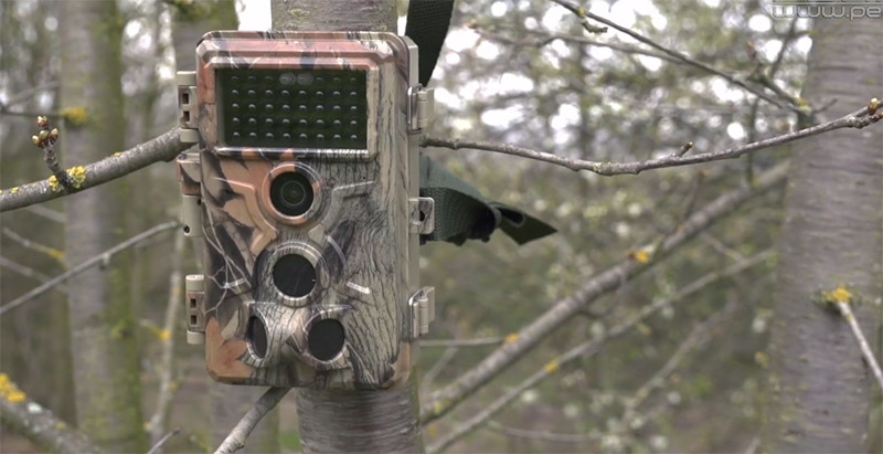 Quelle caméra de chasse choisir?