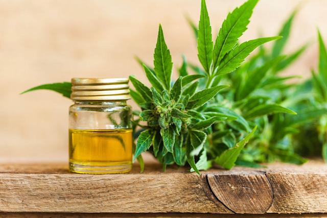 Où trouver de l&rsquo;huile de CBD pas chère ?