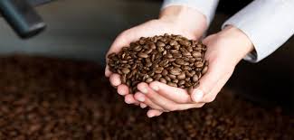 Torréfier le café vert pour maîtriser la qualité de son café
