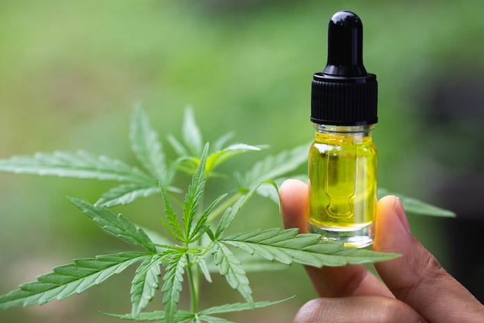 Quelles sont les vertues des huiles au CBD ?