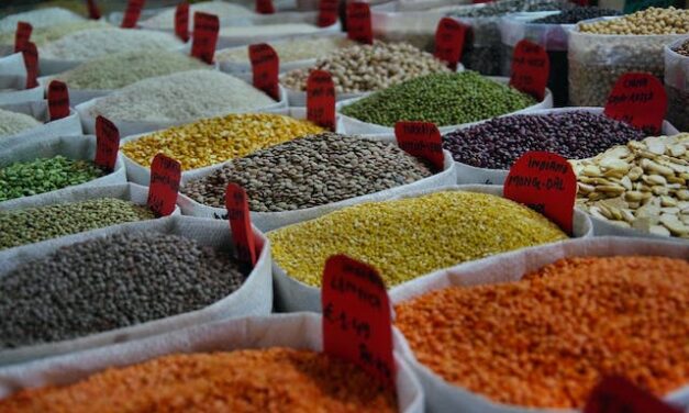 La magie des épices dans la cuisine du monde