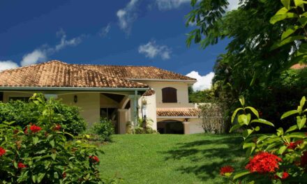 Louer une villa pour un anniversaire en Martinique : bons plans et conseils